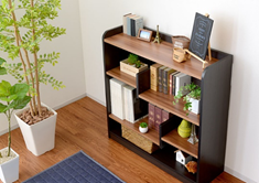 おしゃれな本棚とカラーボックスで一人暮らしの収納問題を解決！